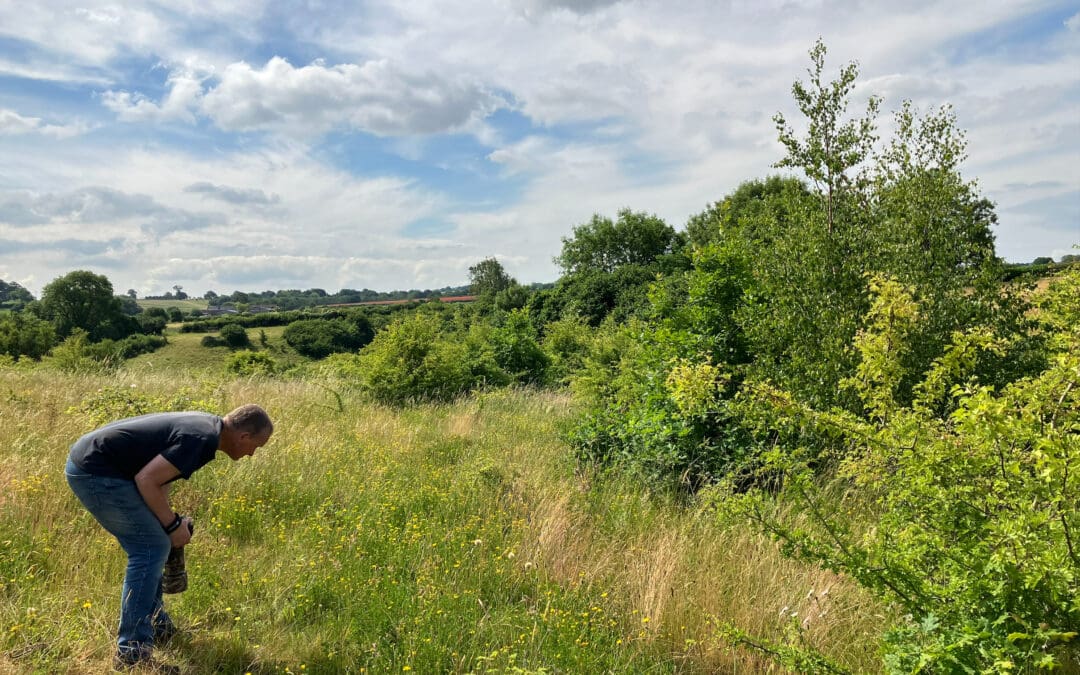 Haydon Batch BioBlitz