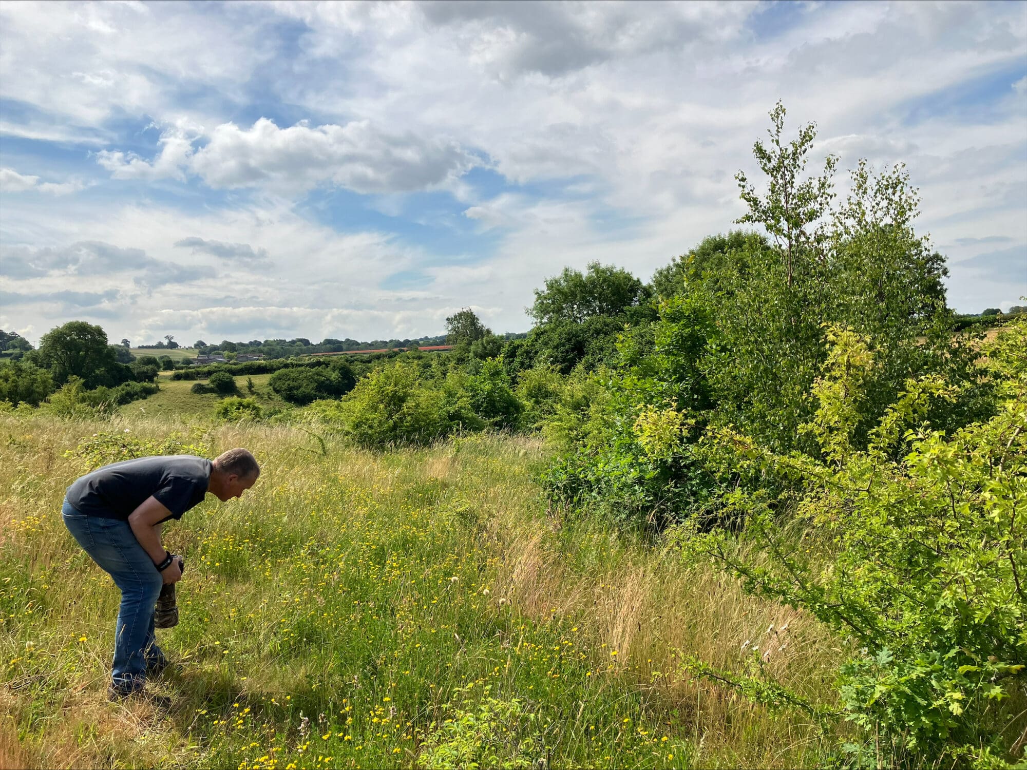 Somer Valley rediscovered - June 2023-19 September