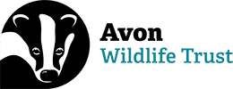 Avon Wildlife Trust