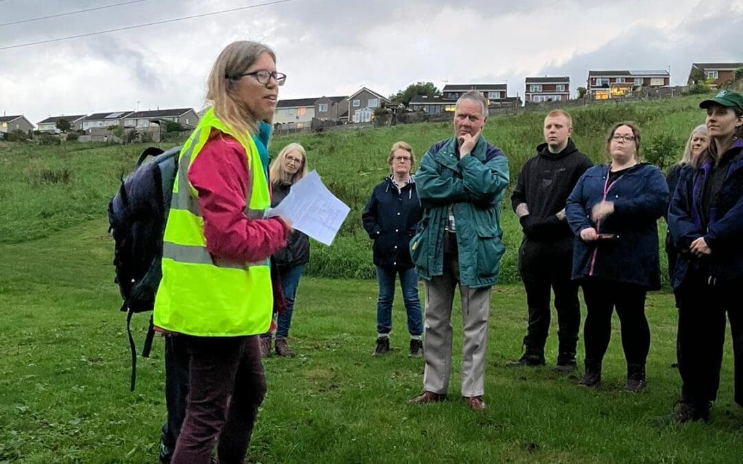 Bat Walk in Wellow Brook Walk