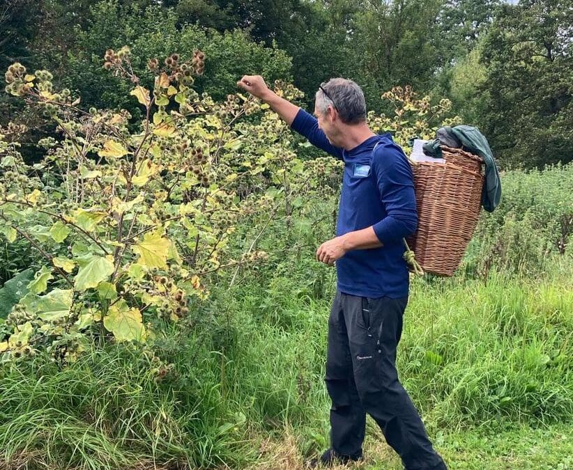 Autumn Nature, Craft, Connection 23rd November