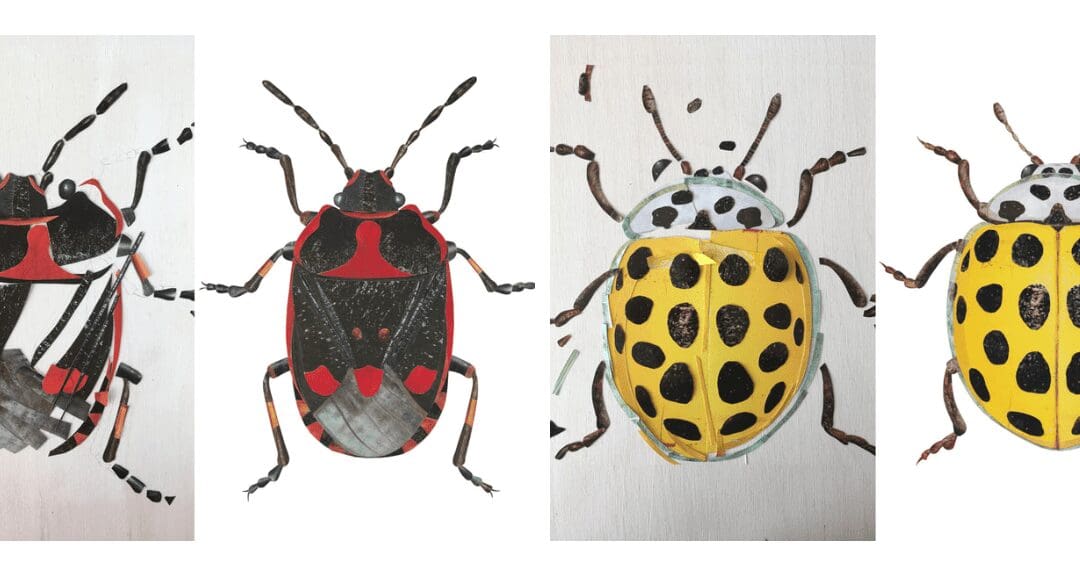 Kids Insect Collage Workshop