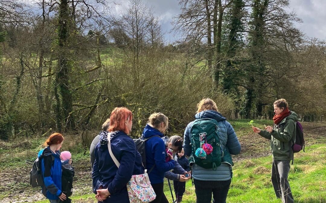 An Introduction to Spring Foraging