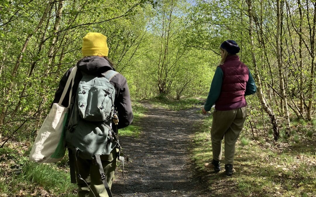 Wellbeing Walk in Westfield