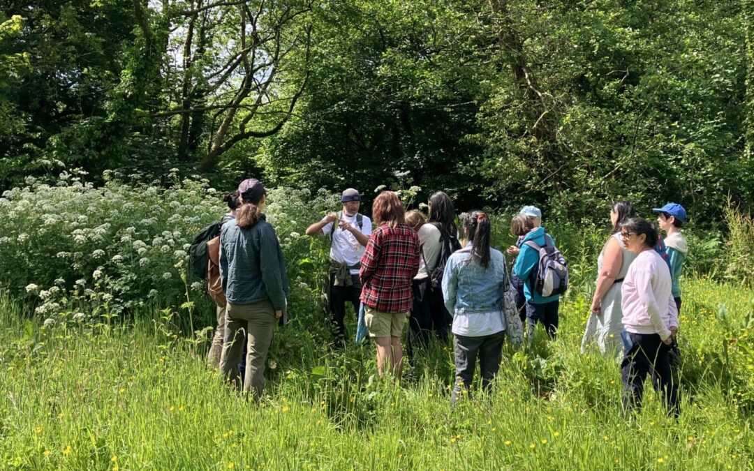 Grassland and Wildflower Survey Training