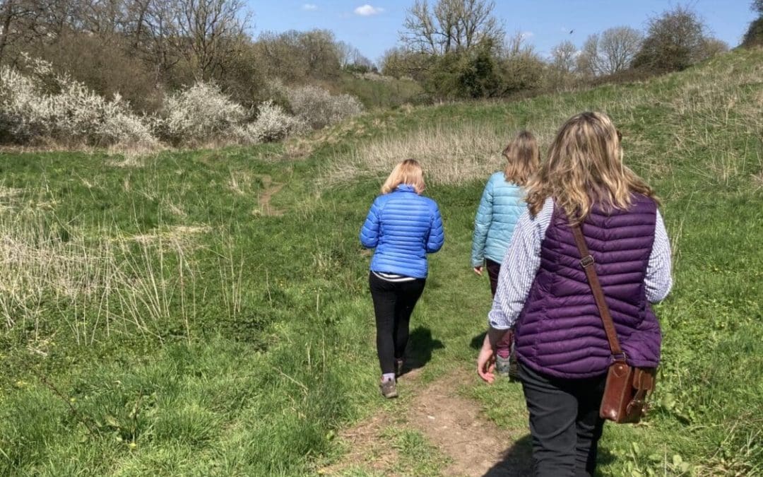 Mindfulness and Meditation with Nature Taster
