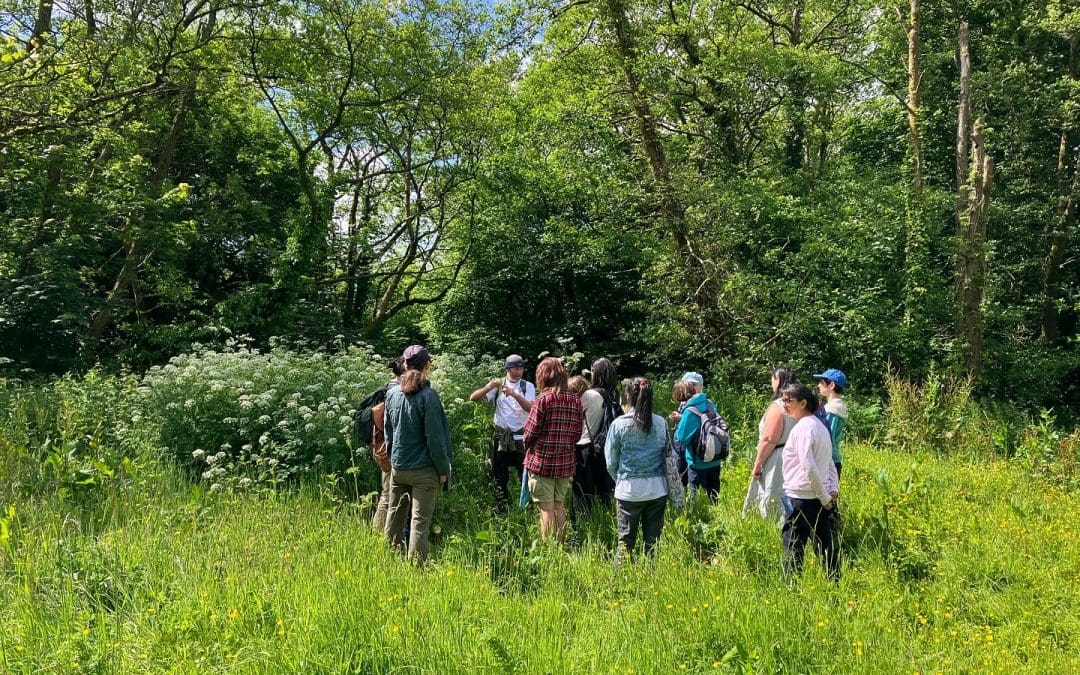 Nature-Based Social Prescribing Networking and Taster Morning
