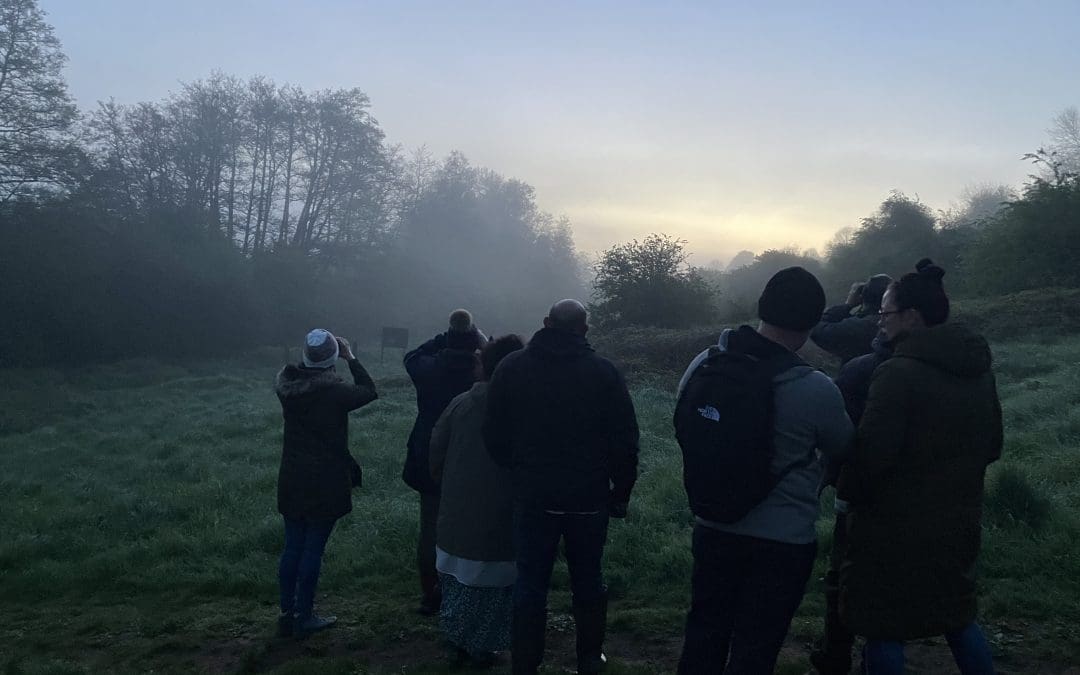 Dawn Chorus Walk