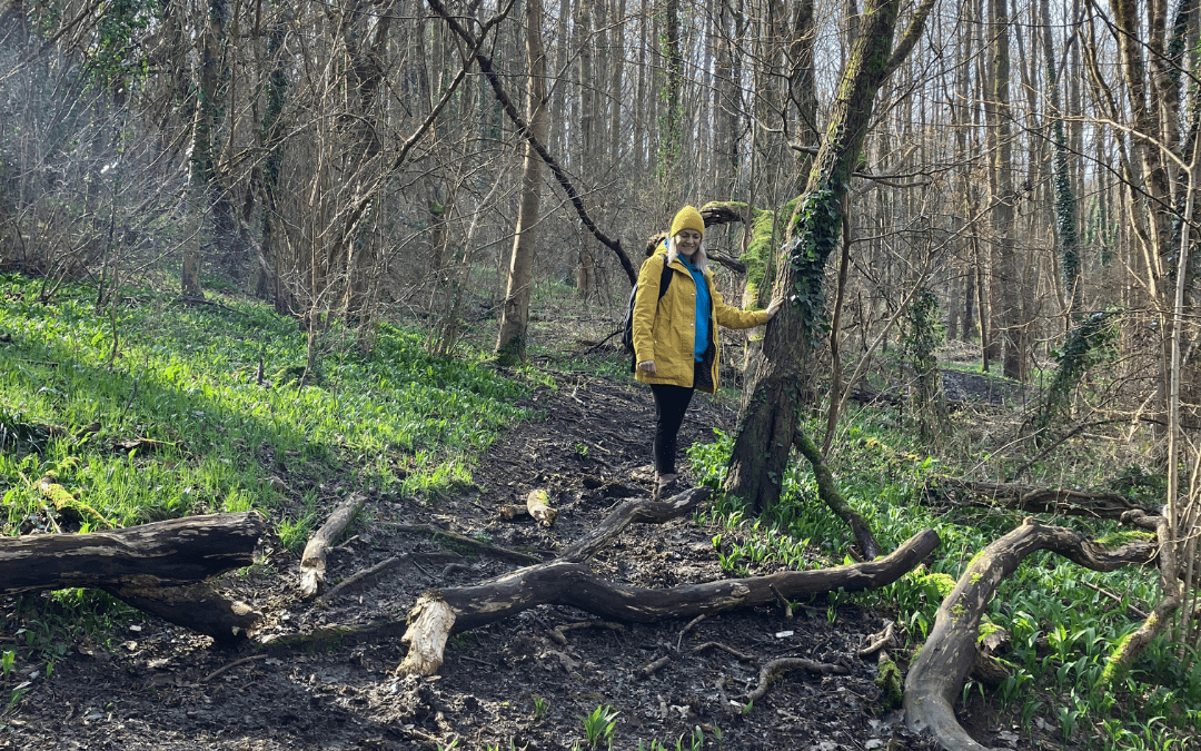 Forest Bathing