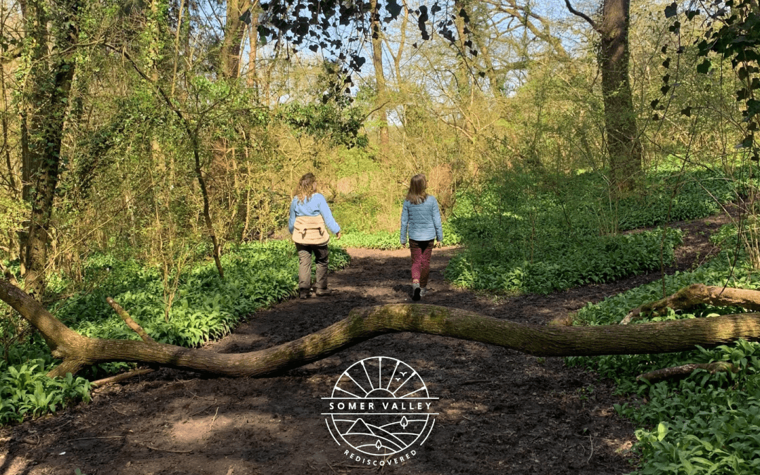 Nature Walk in Waterside Valley