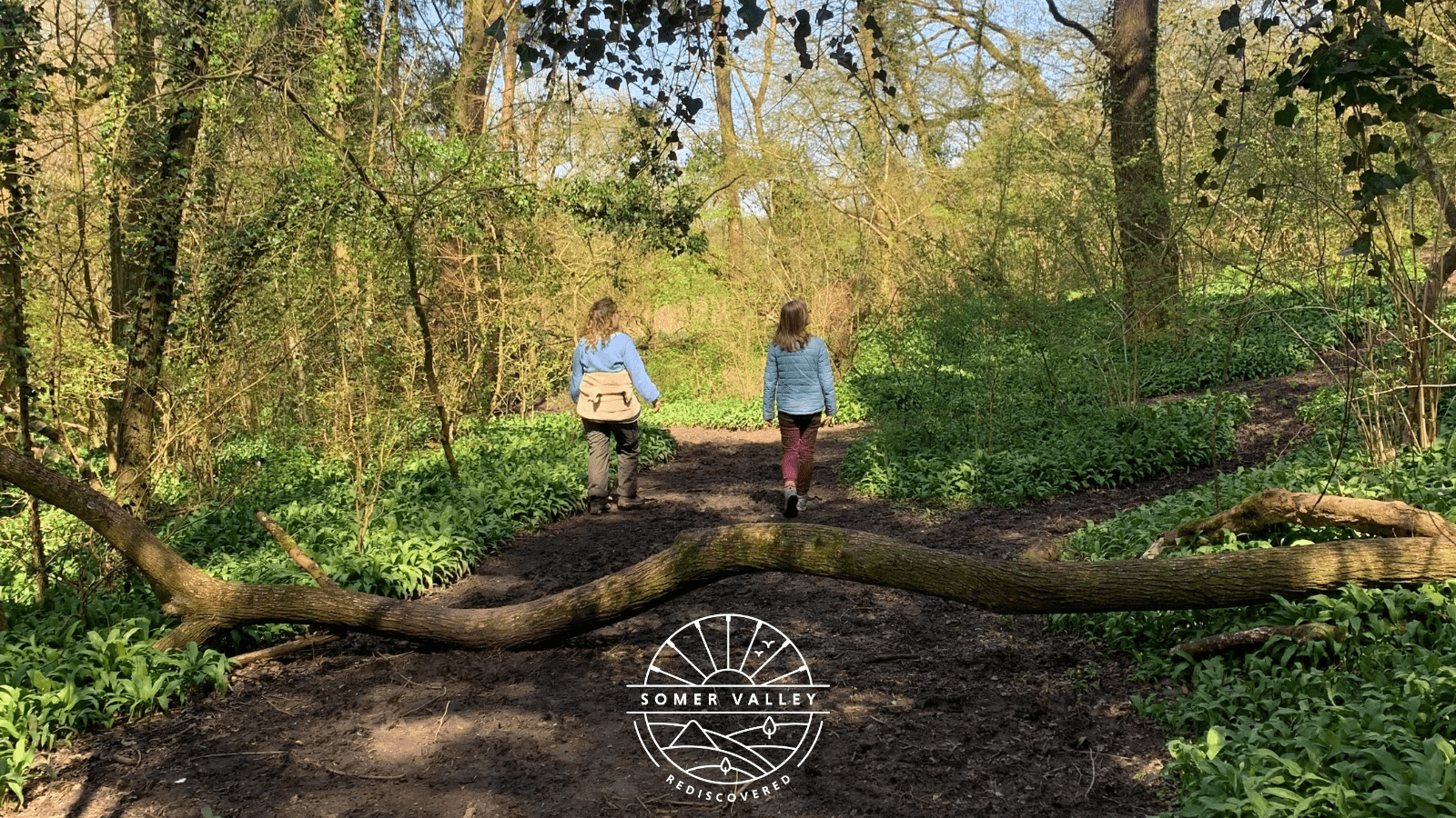 Walking in the woods