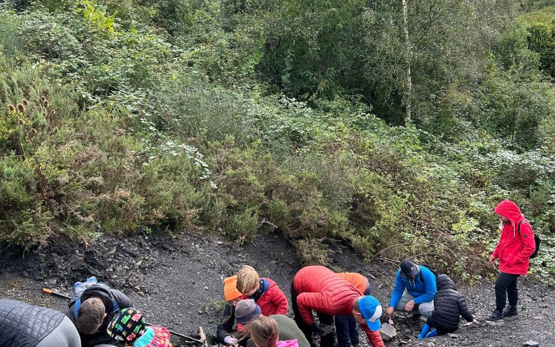 Fossil Hunting on Haydon Batch
